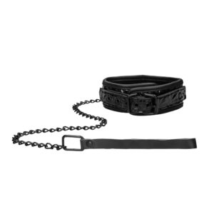 Collar With Leash